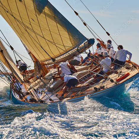 Regatta: Schutz und Qualität für Ihre Outdoor-Abenteuer