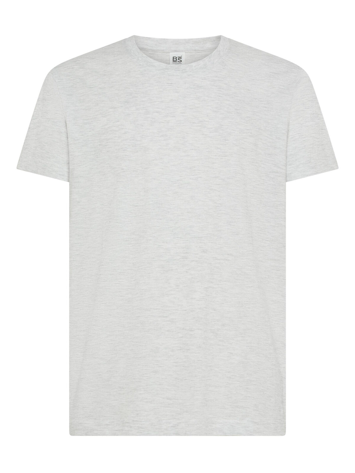 Evolution T-Shirt - Asche