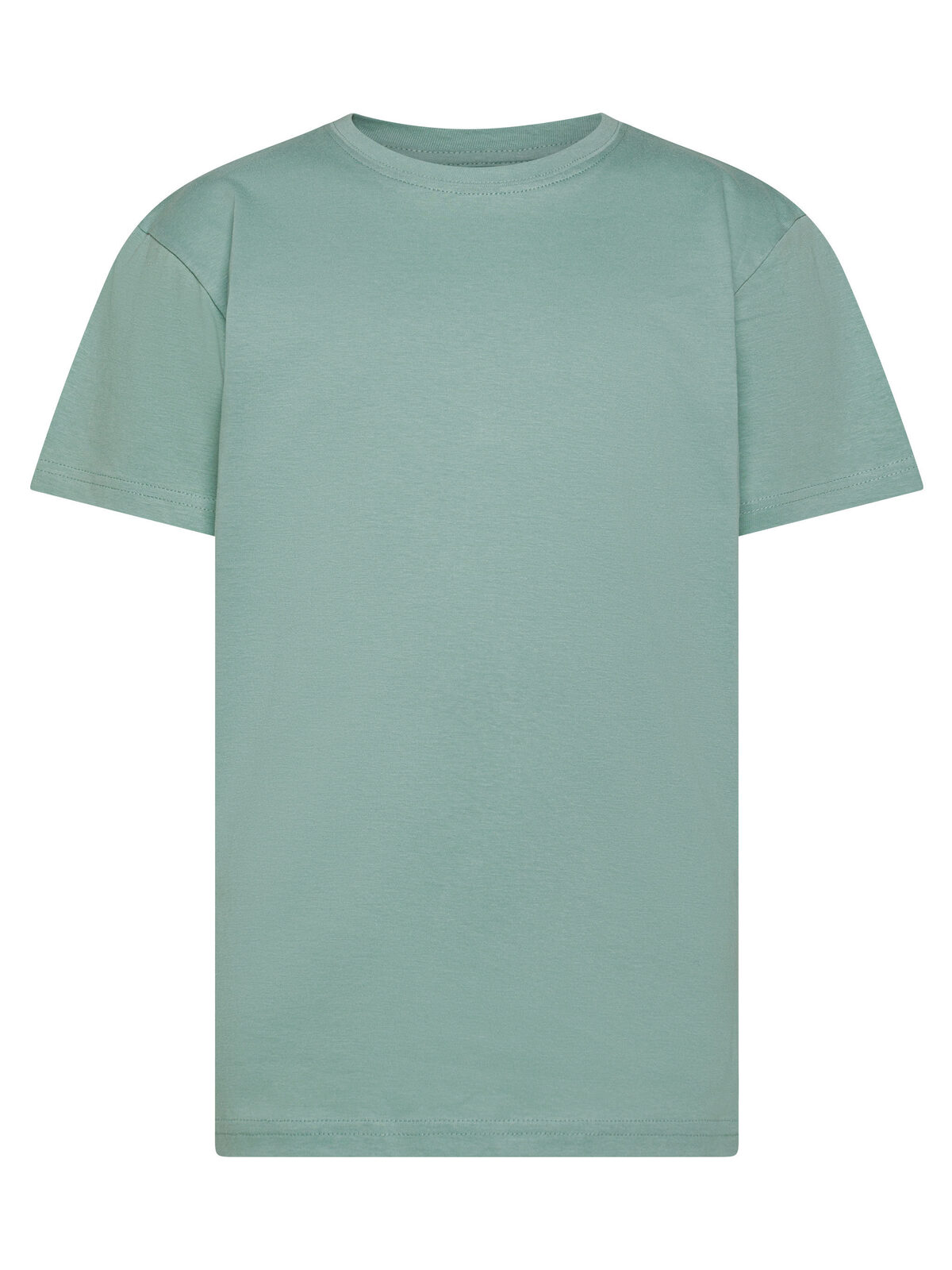 Evolution T-Shirt für Kinder - Salbei