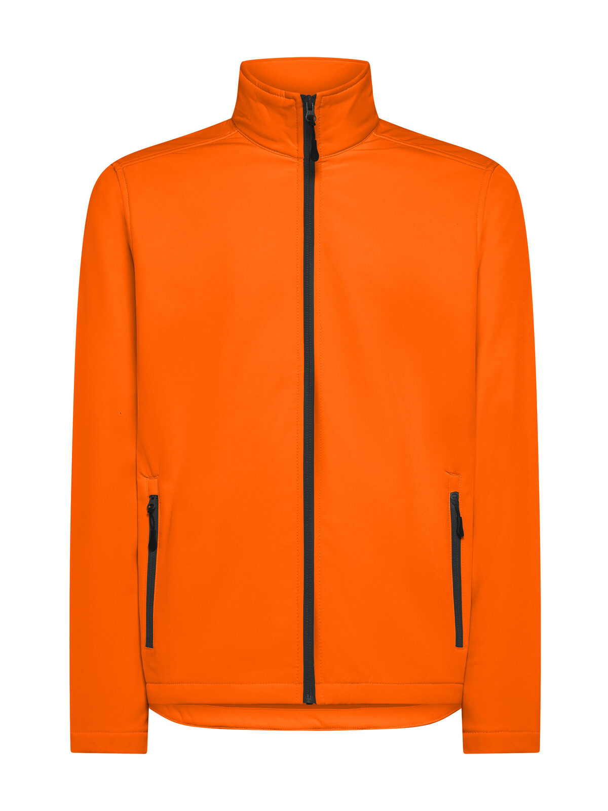 Gast - ODER - ORANGE