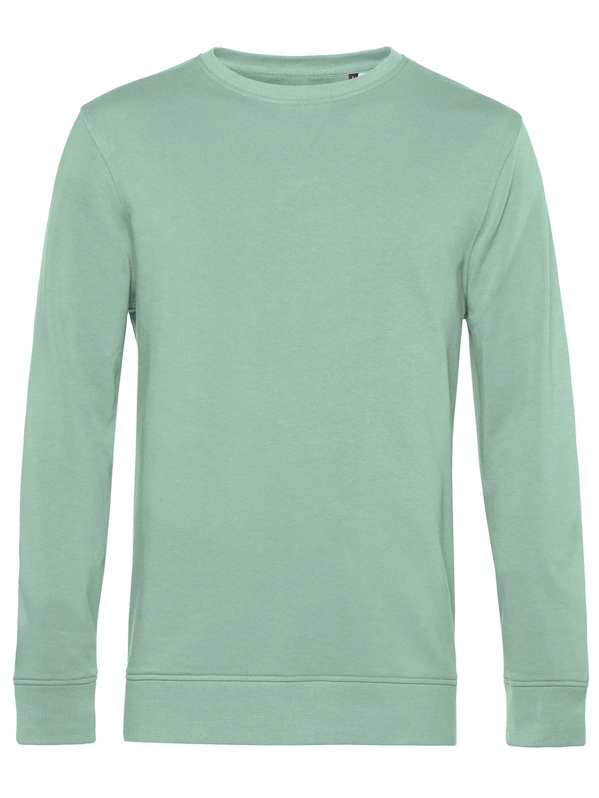 Inspire Crew Neck Sweatshirt_° - SA502 - Sage