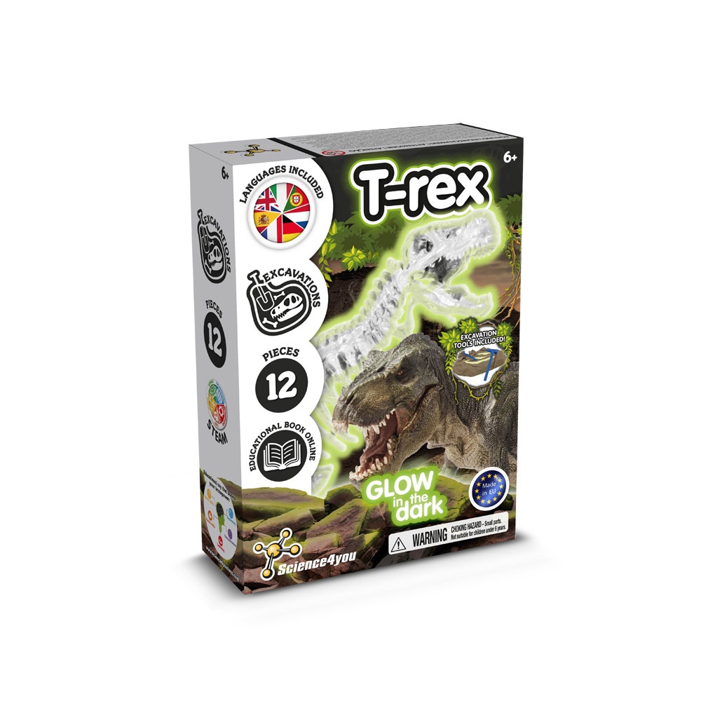 Fossilienausgrabungsset I. Lernspiel für Kinder
